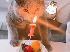 -欣奇西点蛋糕(宜欣店)