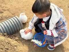 -前小桔亲子创意农场·草莓采摘·露营烧烤