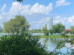 -金银湖国家城市湿地公园