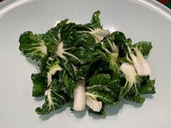 生炝木耳菜-九十九顶毡房(阜石路店)