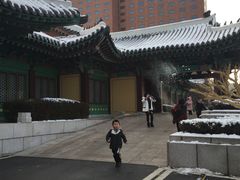 -新罗免税店(首尔总店)