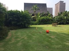 iphone_upload_pic-三亚湾红树林度假世界(木棉酒店)