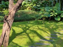 -云溪植物园