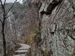 -黑河国家森林公园