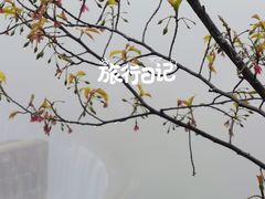 -九鲤湖风景区