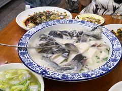 -全乐鱼馆·淳牌有机鱼直营店