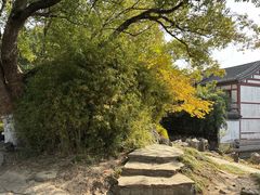 -常熟方塔园