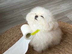 -爱侣宠医·鹦鹉专科·小型哺乳类·异宠专科(灵石路店)