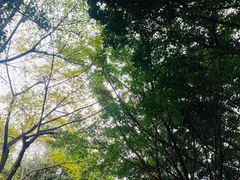 -灵秀温泉