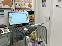 -立德异宠动物医院.兔鸟爬.内窥镜(天河店)