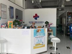 -欧奕国际动物医院