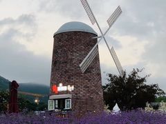 -玫瑰海岸文化旅游度假区