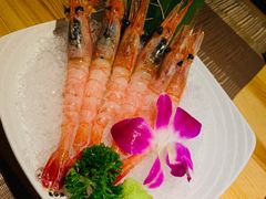 -酒井酱子·深夜食堂(东城汇店)