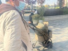 -比斯特上海购物村精品奥特莱斯