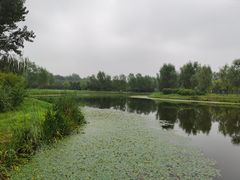 -东郊湿地公园