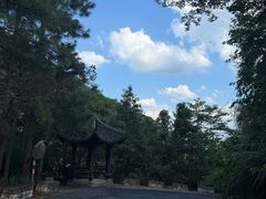 -东天目山风景区