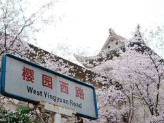 -武汉大学-樱园