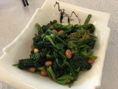 -楼兰印象(朝外店)