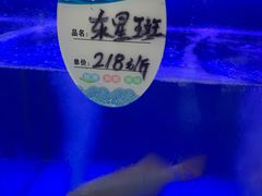 -松雅轩商务婚礼生日(同和店)