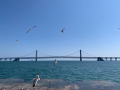 -星海湾跨海大桥