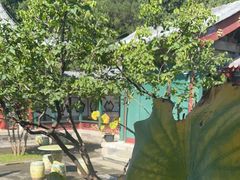 -宫事颐庭·老佛爷贵寿下午茶(颐和园店)