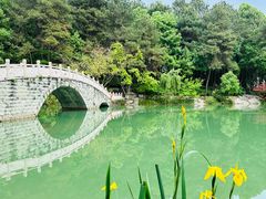 -铁山坪森林公园