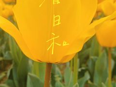 -无锡梅园公园