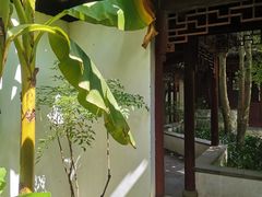 -秋霞圃