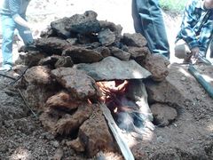 -洞背山庄(洞背院区式管理小区店)