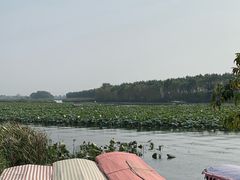 -白洋淀景区