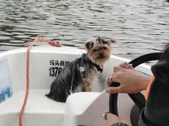 -上海月湖雕塑公园