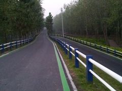 -合肥滨湖国家森林公园