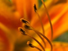 -苏州河梦清园环保主题公园