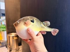 河豚宝宝-永安鱼庄·镇江菜(东吴路店)