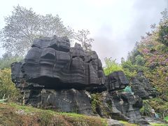 -梭布垭石林景区