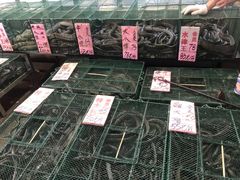 -荔城生鲜盛宴(番禺旗舰店)