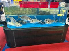-明本湛江鸡•海鲜小厨(陈家祠店)