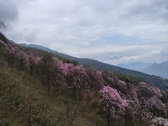 -九皇山景区