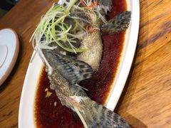 -必点海鲜·鲅鱼水饺(鞍山西道店)