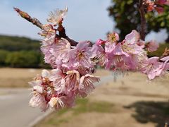 -苏州上方山国家森林公园