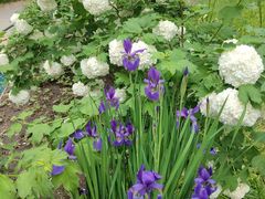 -国家植物园南园