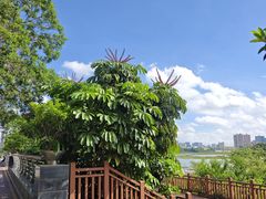 -立新湖公园