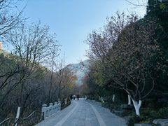 -佛慧山