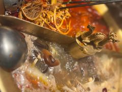 -小龙翻大江文化火锅(宽窄店)