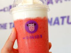 -一只酸奶牛(八一路店)