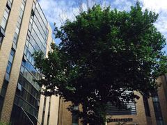 -慈铭体检(北京奥亚分院)