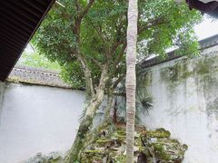 -绍兴鲁迅故里·沈园景区