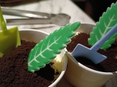 冰激凌盆栽-火炉火自助餐(西直门凯德MALL店)