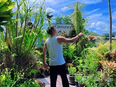 -自然餐厅(Phuket)