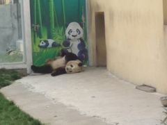 -西安秦岭野生动物园